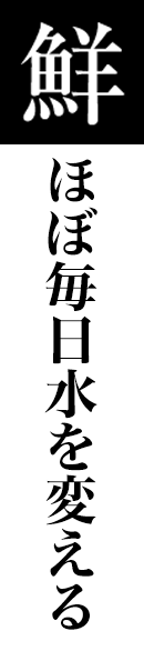 鮮ほぼ毎日水を変える